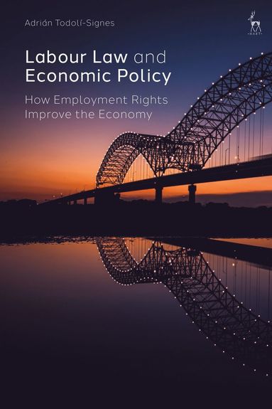 bokomslag Labour Law and Economic Policy