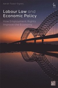 bokomslag Labour Law and Economic Policy