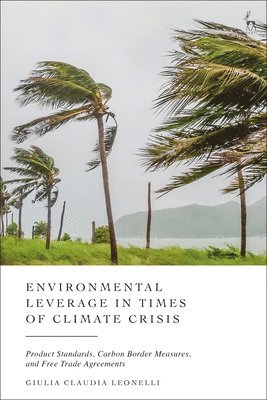 bokomslag Environmental Leverage in Times of Climate Crisis