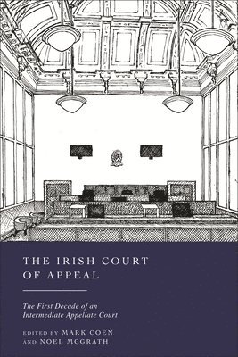 bokomslag The Irish Court of Appeal