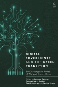 bokomslag Digital Sovereignty and the Green Transition