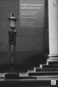 bokomslag Public Procurement and Contract Law: Exploring Intersections, Defining Boundaries