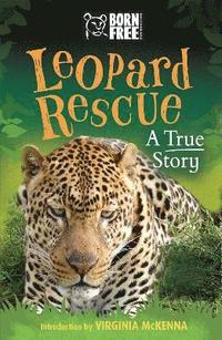 bokomslag Born Free: Leopard Rescue
