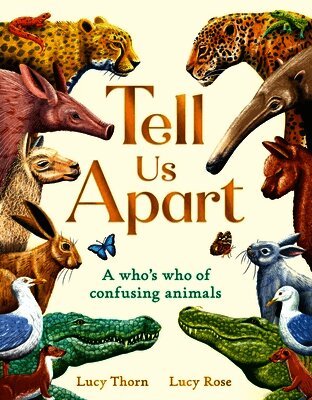 Lucy Thorn - Tell Us Apart, Häftad