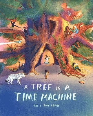 Rob Sears - Tree is a Time Machine, Inbunden