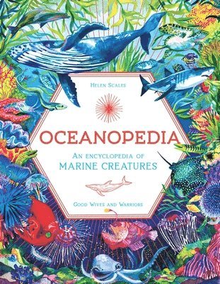 Helen Scales - Oceanopedia, Inbunden