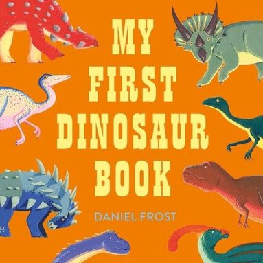 bokomslag My First Dinosaur Book