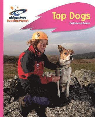 bokomslag Reading Planet - Top Dogs - Pink B: Rocket Phonics