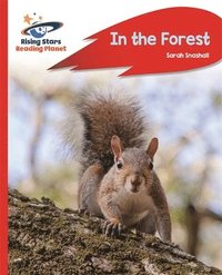 bokomslag Reading Planet - In the Forest - Red A: Rocket Phonics