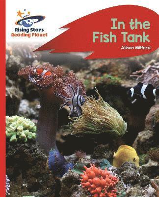 Reading Planet - In the Fish Tank - Red B: Rocket Phonics 1