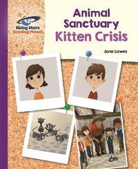 bokomslag Reading Planet - Animal Sanctuary Kitten Crisis - Purple: Galaxy