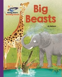 bokomslag Reading Planet - Big Beasts - Purple: Galaxy