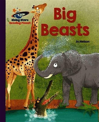Katie Daynes - Reading Planet - Big Beasts - Purple: Galaxy, Häftad