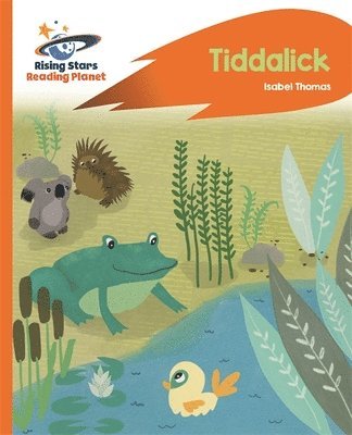 bokomslag Reading Planet - Tiddalick - Orange: Rocket Phonics