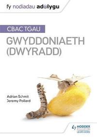 bokomslag Fy Nodiadau Adolygu: CBAC TGAU Gwyddoniaeth Dwyradd (My Revision Notes: WJEC GCSE Science Double Award, Welsh-language Edition)