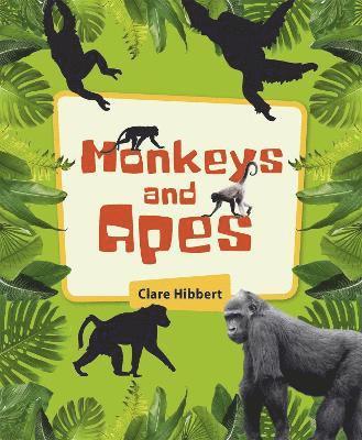 Reading Planet KS2 - Monkeys and Apes - Level 4: Earth/Grey band 1