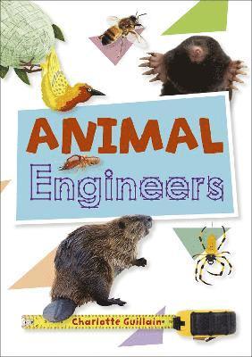 Reading Planet KS2 - Animal Engineers - Level 1: Stars/Lime band