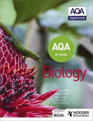 bokomslag AQA A Level Biology (Year 1 and Year 2)