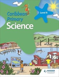 bokomslag Caribbean Primary Science Book 6