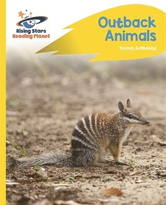 bokomslag Reading Planet - Outback Animals - Yellow Plus: Rocket Phonics