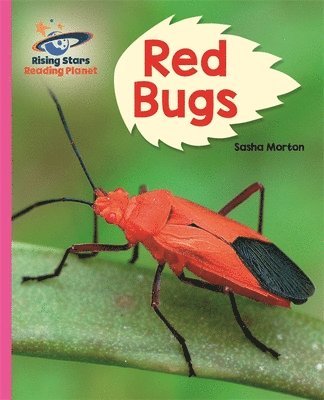 bokomslag Reading Planet - Red Bugs - Pink B: Galaxy