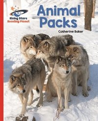 bokomslag Reading Planet - Animal Packs - Red A: Galaxy