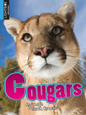 bokomslag Cougars