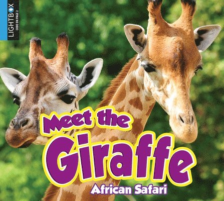 Meet the Giraffe 1