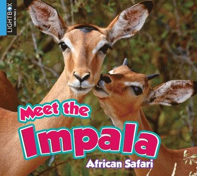 bokomslag Meet the Impala