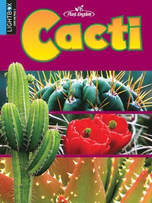 bokomslag Cacti