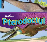 bokomslag Pterodactyl