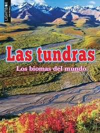 bokomslag Las Tundras