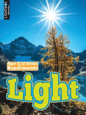 Dana Meachen Rau - Light, Inbunden