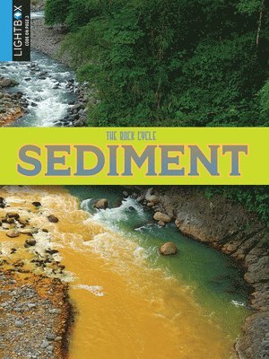 John Willis - Sediment, Inbunden