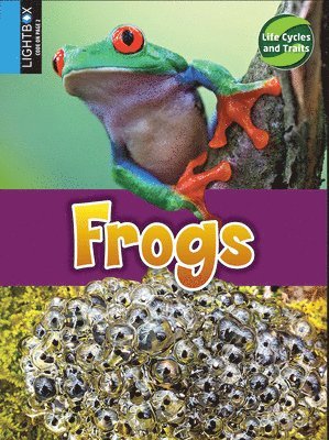 John Willis - Frogs, Inbunden