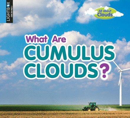 Lynn Peppas - What Are Cumulus Clouds?, Inbunden