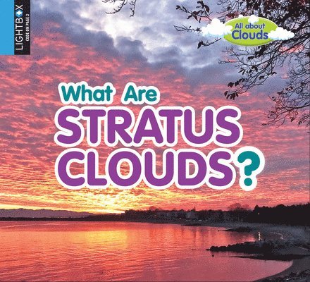 Lynn Peppas - What Are Stratus Clouds?, Inbunden