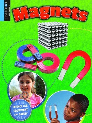 bokomslag Magnets