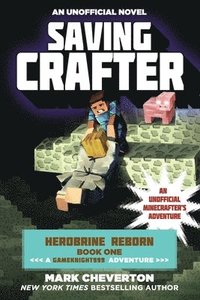 bokomslag Saving Crafter
