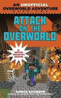 bokomslag Attack on the Overworld