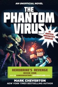 bokomslag The Phantom Virus