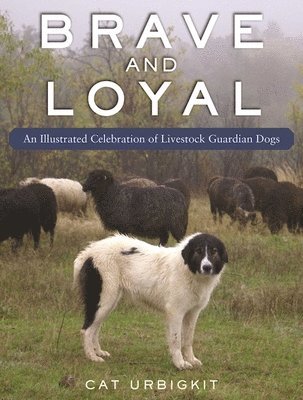 Brave and Loyal 1