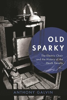 bokomslag Old Sparky