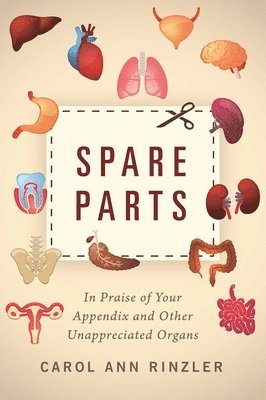 Spare Parts 1