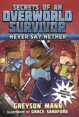 Never Say Nether 1