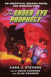 bokomslag Ender Eye Prophecy