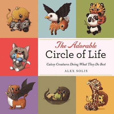 The Adorable Circle of Life 1