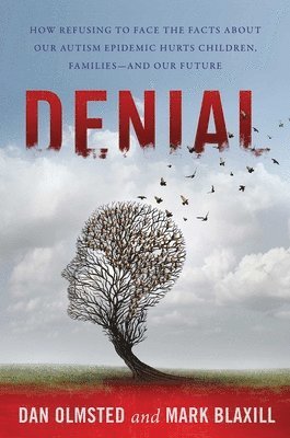 Denial 1