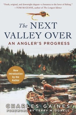 Charles Gaines - Next Valley Over, Häftad