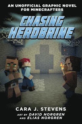 bokomslag Chasing Herobrine